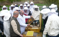 Aufzucht von Bienenköniginnen, Zuchtverfahren, Gerätschaften und Zuchtplanung mit Besichtigung der Belegstelle Am Kühweiher